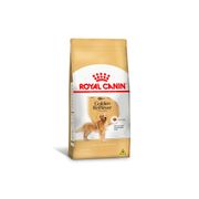 Racao Royal Canin Racao Golden Retriever Caes Adultos - 12kg